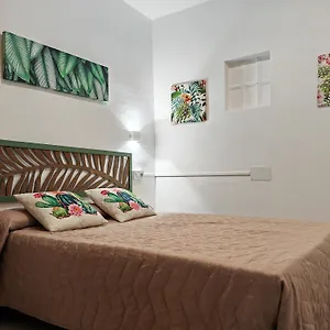 https://hostal-noray.topcostabravahotels.com